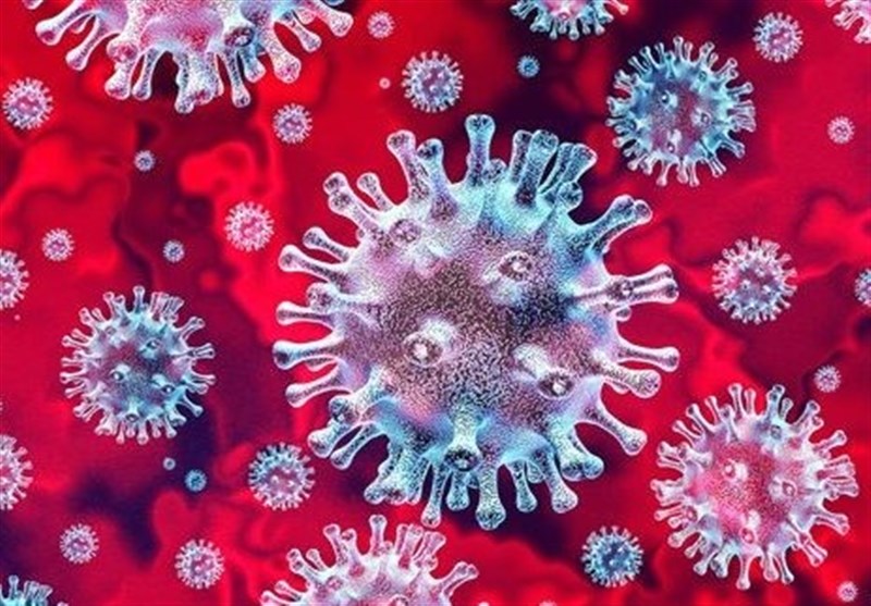 نیویورک تایمز: "اروپا" منشأ شیوع ویروس کرونا در نیویورک آمریکا
