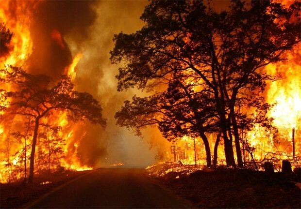 آمادگی کامل ستاد مدیریت بحران برای پیشگیری از آتش‌سوزی جنگل‌ها