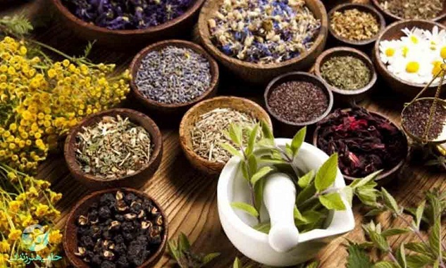 ۴۵۰ گونه گیاه دارویی در آذربایجان‌شرقی شناسایی شد