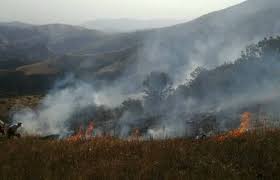 آتش سوزی در ارتفاعات مرزی تمرچین پیرانشهر مهار شد