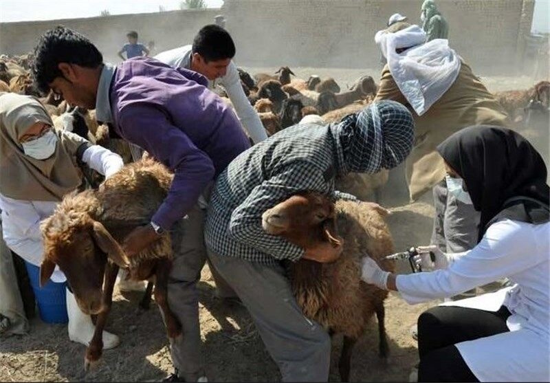 موردی از طاعون در آذربایجان‌شرقی گزارش نشده است