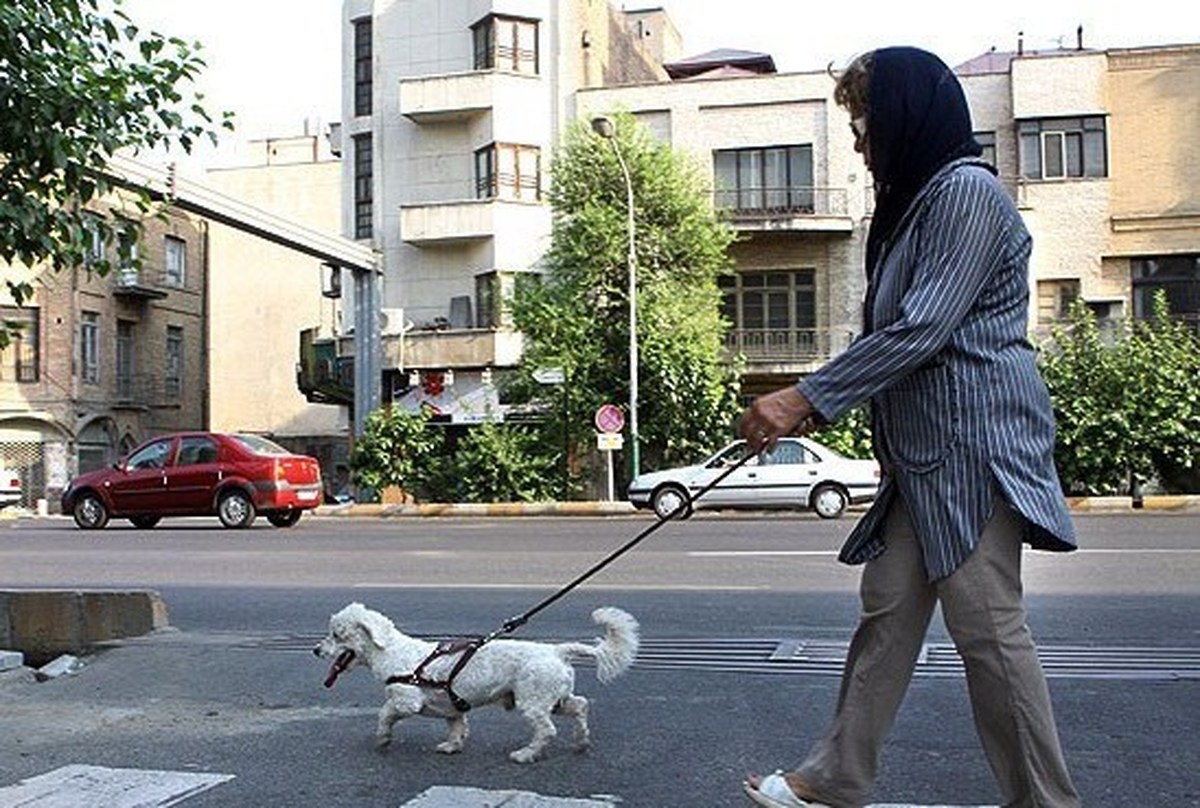 ایران درصدد اعلام جرم علیه حیوانات!