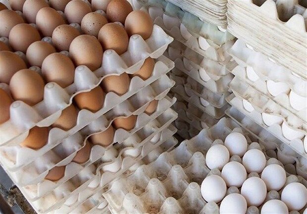 چرا تخم مرغ‌ها کوچک شده‌اند؟
