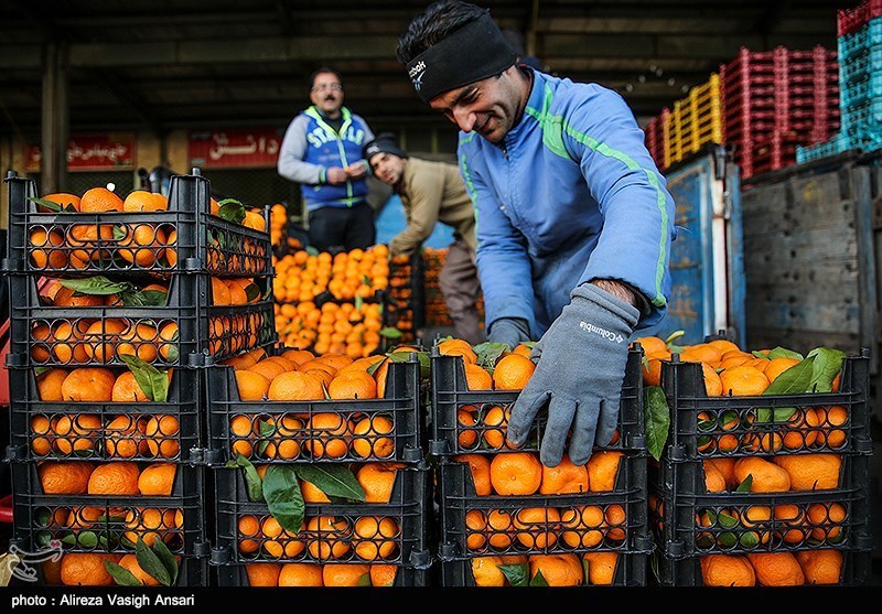 اعلام قیمت میوه‌ شب عید در آذربایجان‌شرقی