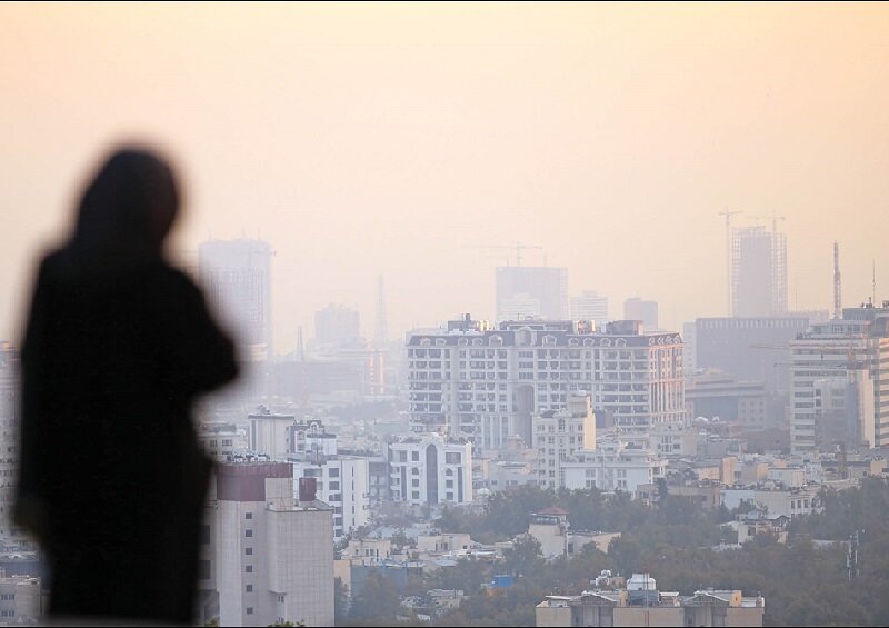 چند درصد ایرانی‌ها مبتلا به آلرژی هستند؟ / آلودگی هوا و ریزگردها در افزایش آمار آلرژی تاثیر دارد؟