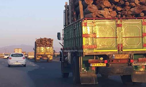 کشف ۲۰ کامیون حامل چوب قاچاق در آذربایجان‌شرقی/ کاهش ۹۵ درصدی قطع درخت در استان