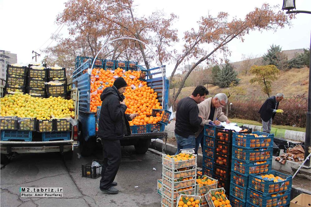 جمع‌آوری ۱۱۴ دستگاه وانت‌بار میوه‌فروش در سطح تبریز