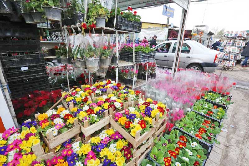 اولین بازار گل تبریز در پیاده‌راه امین راه اندازی می‌شود