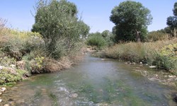 خشک شدن 90 درصد چشمه‌ها و قنات‌ها در آذربایجان‌شرقی