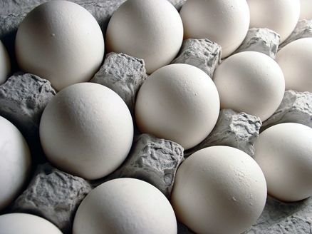 قیمت تخم‌مرغ کاهش یافت؛ فروش به نرخ مصوب