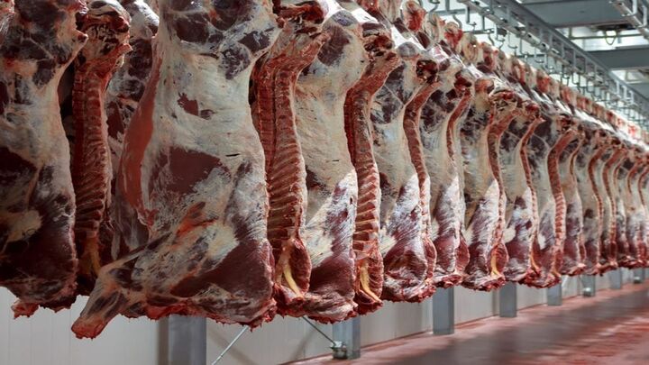 حذف دلار نیمایی از واردات گوشت قرمز