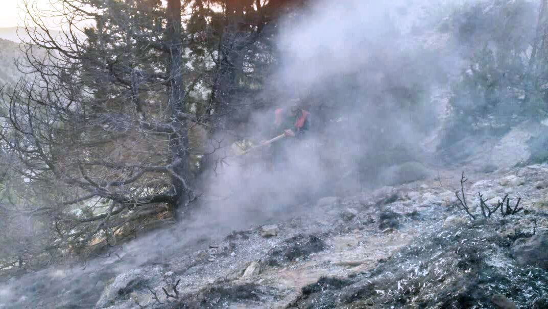 خسارت ۴۰ هکتاری مراتع و جنگل های ارسباران در آتش سوزی