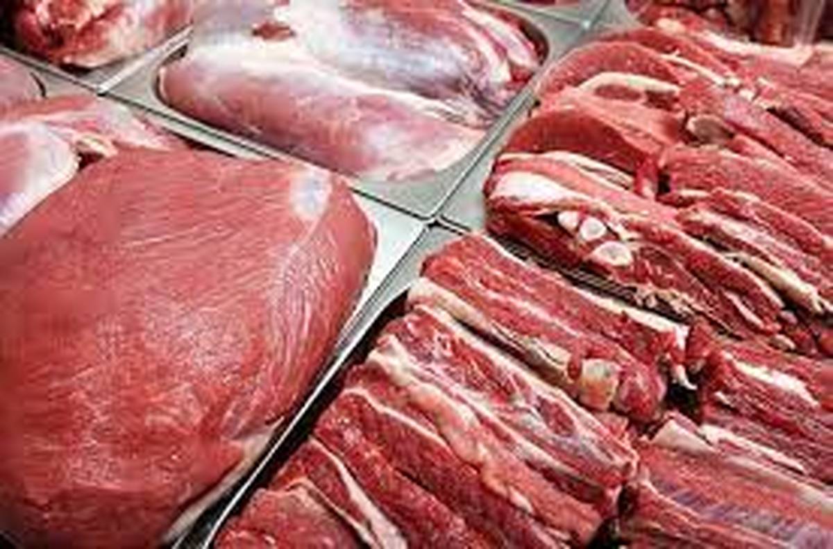 افزایش تولید گوشت قرمز در کشور