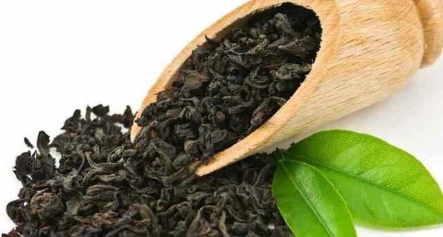 واردات چای به ازای خرید تولید داخل آغاز شد