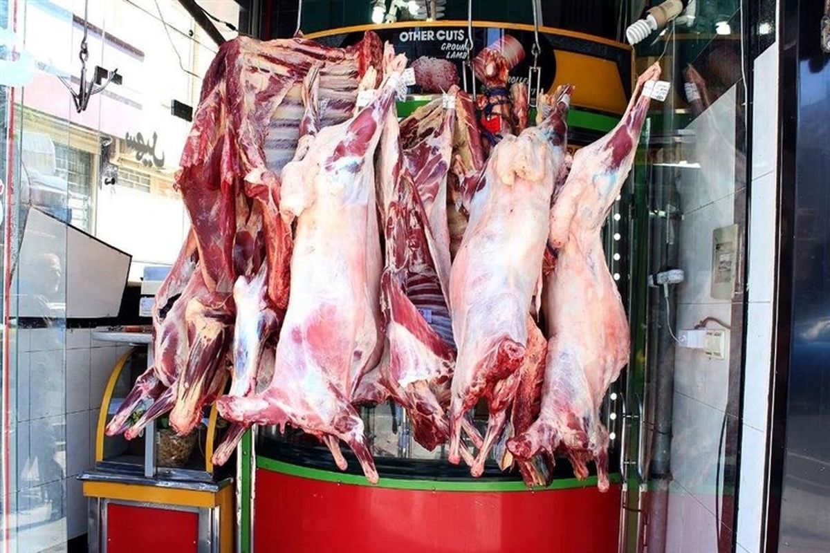 قیمت گوشت ارزان شد / راسته گوسفندی کیلویی ۴۱۰ هزار تومان