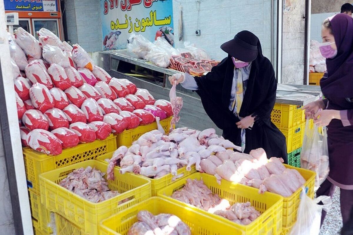 رصد بازار عرضه گوشت مرغ و مواد پروتئینی آغاز شد