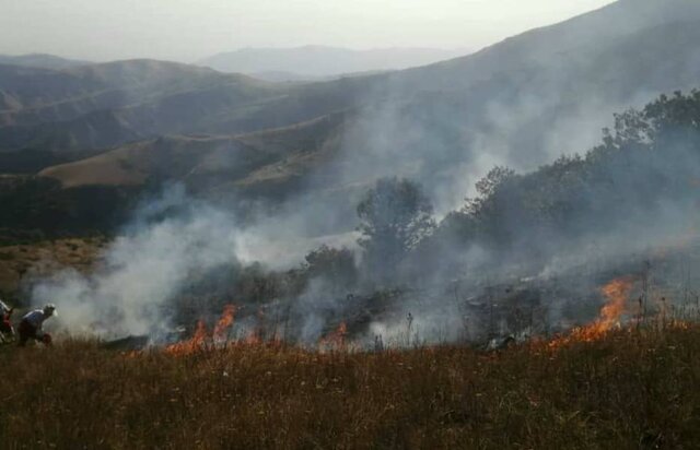 آتش‌سوزی در جنگل‌های ارسباران 50 درصد کاهش یافته‌است