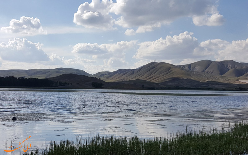 باران بی‌منت خدا یا طرح کانال‌کشی دولت؟!