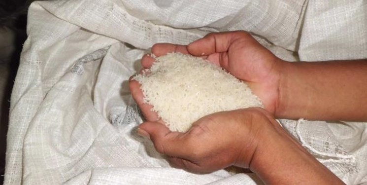 آخرین مهلت ثبت سفارش واردات برنج اعلام شد
