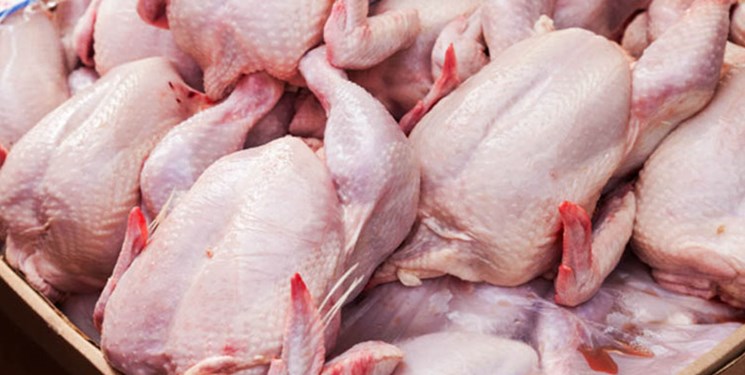 قیمت انواع گوشت، مرغ و ماهی در بازار/ مرغ ۴۳۰۰ تومان گران‌تر از مصوبه تنظیم بازار