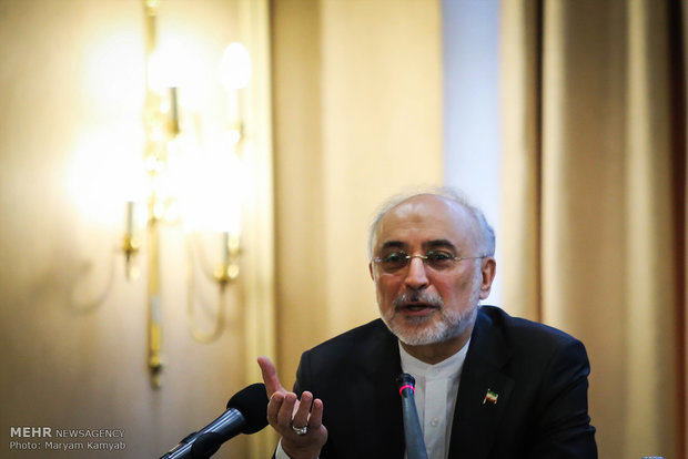 صالحی: ایران در طول برجام ۲۴ تن اورانیوم را غنی‌سازی کرد