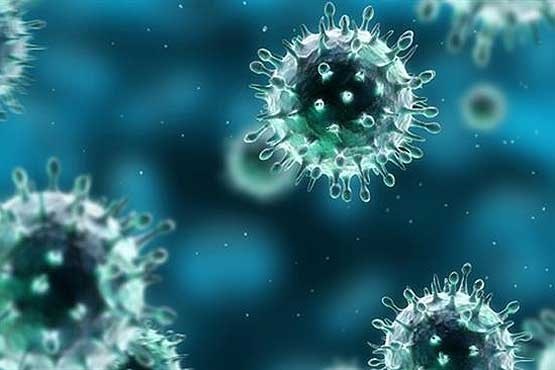 آنفولانزا در مدار استان بحرانی نیست