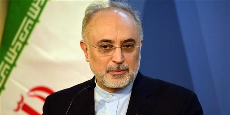 صالحی: ایران در صیانت از امنیت خود تردیدنمی‌کند